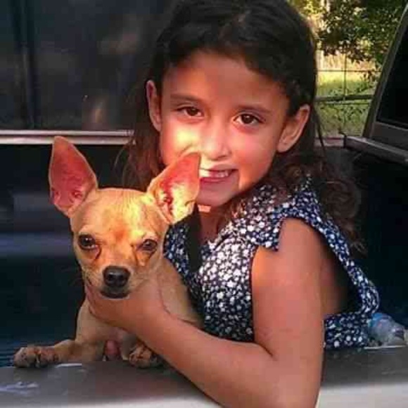 Meet your Posher, Raven - Picture 1 of 1